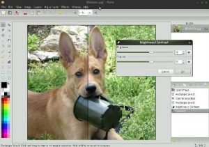 ms paint alternatives